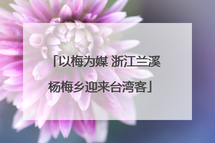以梅为媒 浙江兰溪杨梅乡迎来台湾客
