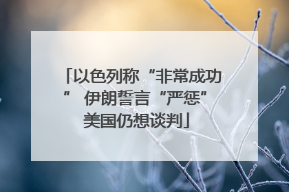以色列称“非常成功” 伊朗誓言“严惩” 美国仍想谈判