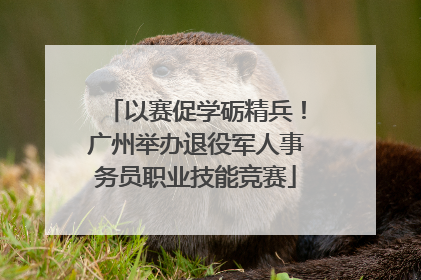以赛促学砺精兵！广州举办退役军人事务员职业技能竞赛