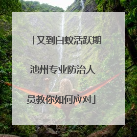 又到白蚁活跃期 池州专业防治人员教你如何应对