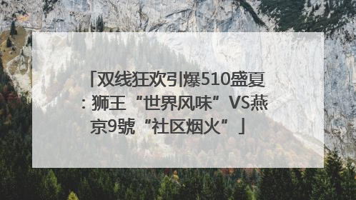 双线狂欢引爆510盛夏：狮王“世界风味”VS燕京9號“社区烟火”