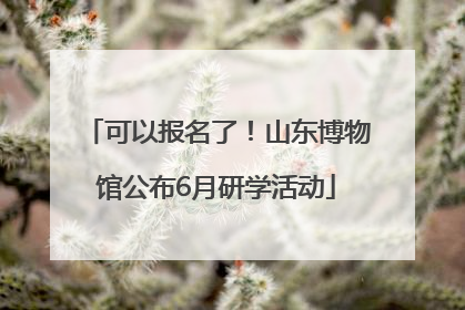 可以报名了！山东博物馆公布6月研学活动