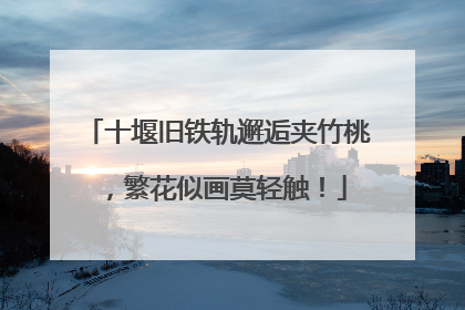 十堰旧铁轨邂逅夹竹桃，繁花似画莫轻触！