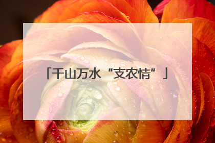 千山万水“支农情”