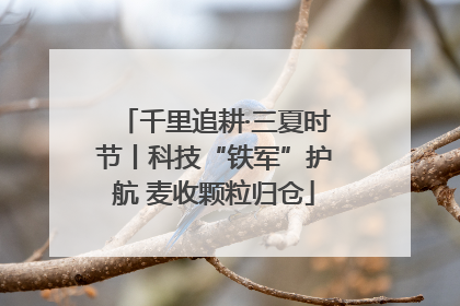 千里追耕·三夏时节丨科技“铁军”护航 麦收颗粒归仓