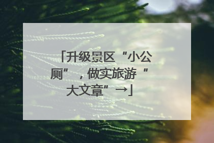 升级景区“小公厕”，做实旅游“大文章”→