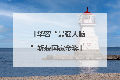 华容“最强大脑”斩获国家金奖