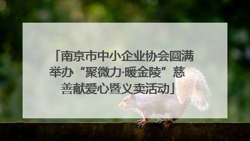 南京市中小企业协会圆满举办“聚微力·暖金陵”慈善献爱心暨义卖活动