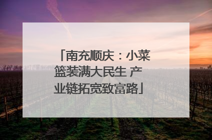 南充顺庆：小菜篮装满大民生 产业链拓宽致富路