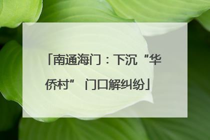 南通海门：下沉“华侨村” 门口解纠纷
