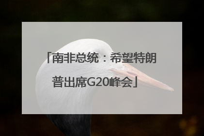 南非总统：希望特朗普出席G20峰会