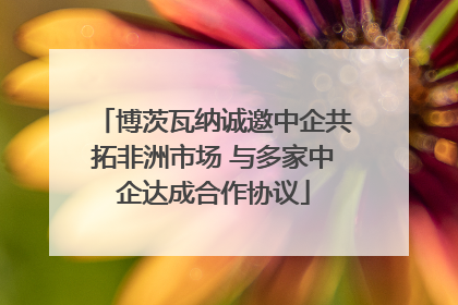 博茨瓦纳诚邀中企共拓非洲市场 与多家中企达成合作协议