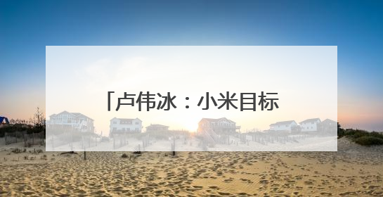 卢伟冰：小米目标2030年成为中国头部家电，非常期待和美的海尔并列