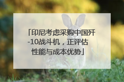 印尼考虑采购中国歼-10战斗机，正评估性能与成本优势
