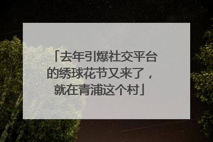 去年引爆社交平台的绣球花节又来了，就在青浦这个村
