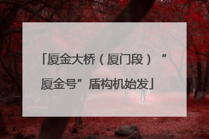 厦金大桥（厦门段）“厦金号”盾构机始发