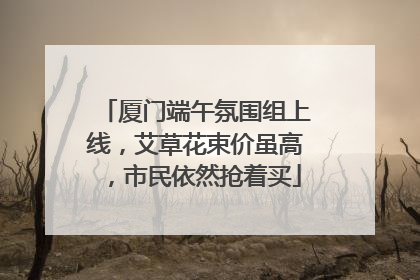 厦门端午氛围组上线，艾草花束价虽高，市民依然抢着买