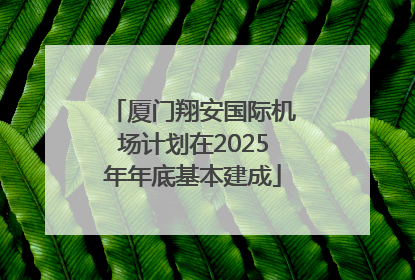 厦门翔安国际机场计划在2025年年底基本建成