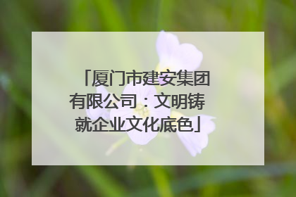 厦门市建安集团有限公司：文明铸就企业文化底色