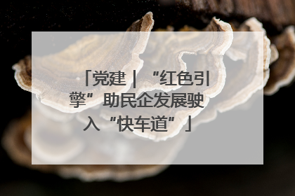 党建｜“红色引擎”助民企发展驶入“快车道”
