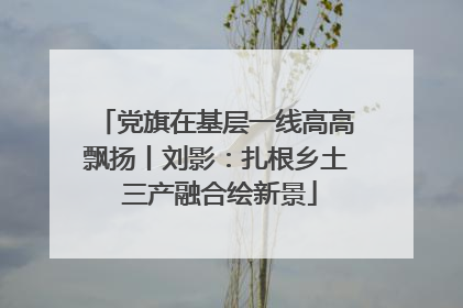 党旗在基层一线高高飘扬丨刘影：扎根乡土 三产融合绘新景