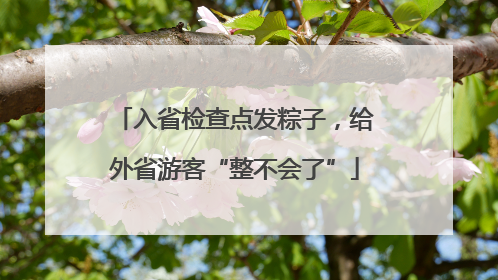入省检查点发粽子，给外省游客“整不会了”