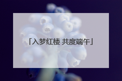 入梦红楼 共度端午