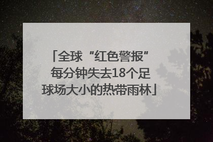 全球“红色警报”  每分钟失去18个足球场大小的热带雨林
