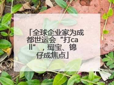 全球企业家为成都世运会“打call”，蜀宝、锦仔成焦点