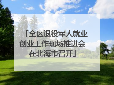 全区退役军人就业创业工作现场推进会在北海市召开