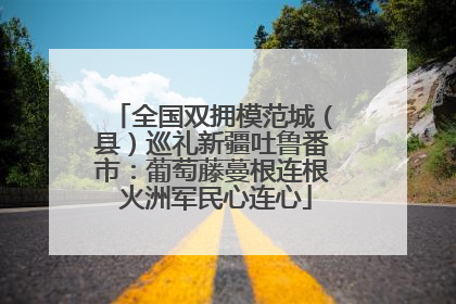 全国双拥模范城（县）巡礼新疆吐鲁番市：葡萄藤蔓根连根 火洲军民心连心