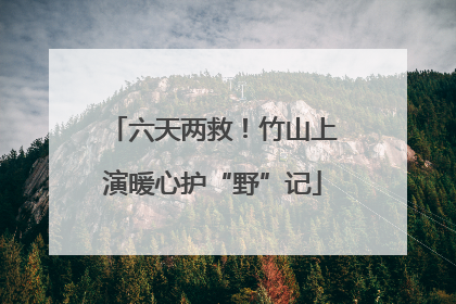 六天两救！竹山上演暖心护“野”记
