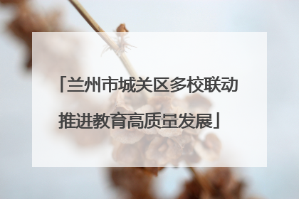兰州市城关区多校联动推进教育高质量发展