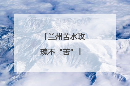 兰州苦水玫瑰不“苦”
