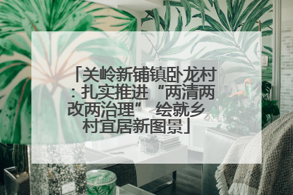 关岭新铺镇卧龙村：扎实推进“两清两改两治理” 绘就乡村宜居新图景