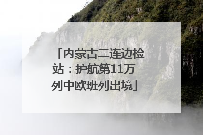内蒙古二连边检站：护航第11万列中欧班列出境
