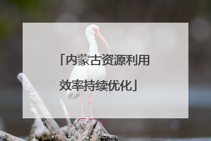 内蒙古资源利用效率持续优化