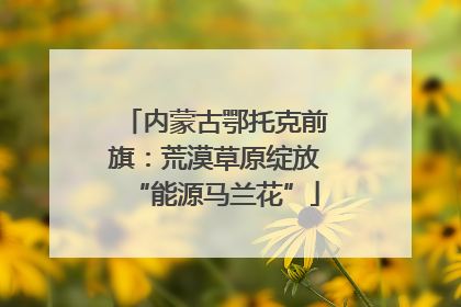 内蒙古鄂托克前旗：荒漠草原绽放“能源马兰花”