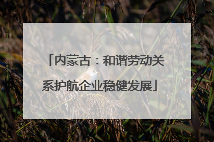 内蒙古：和谐劳动关系护航企业稳健发展