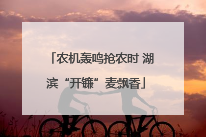 农机轰鸣抢农时 湖滨“开镰”麦飘香