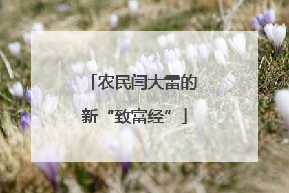 农民闫大雷的新“致富经”