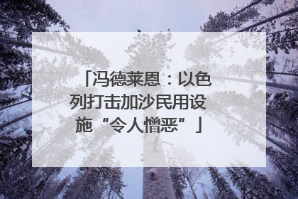 冯德莱恩：以色列打击加沙民用设施“令人憎恶”