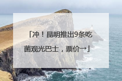 冲！昆明推出9条吃菌观光巴士，票价→