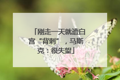 刚走一天就遭白宫“背刺”，马斯克：很失望