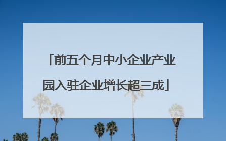 前五个月中小企业产业园入驻企业增长超三成