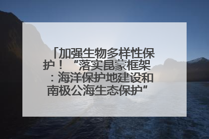 加强生物多样性保护！“落实昆蒙框架：海洋保护地建设和南极公海生态保护”主题论坛将举办