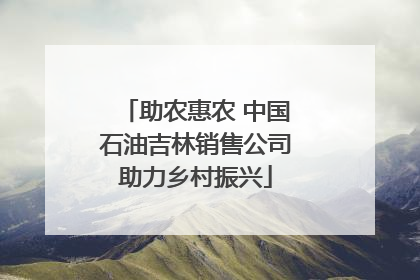 助农惠农 中国石油吉林销售公司助力乡村振兴