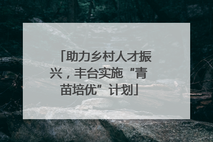 助力乡村人才振兴，丰台实施“青苗培优”计划