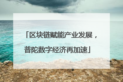 区块链赋能产业发展，普陀数字经济再加速