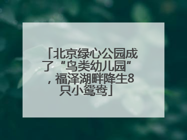 北京绿心公园成了“鸟类幼儿园”，福泽湖畔降生8只小鸳鸯